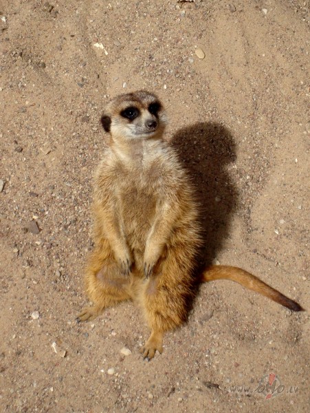 vecas beigas un jauns s�kums