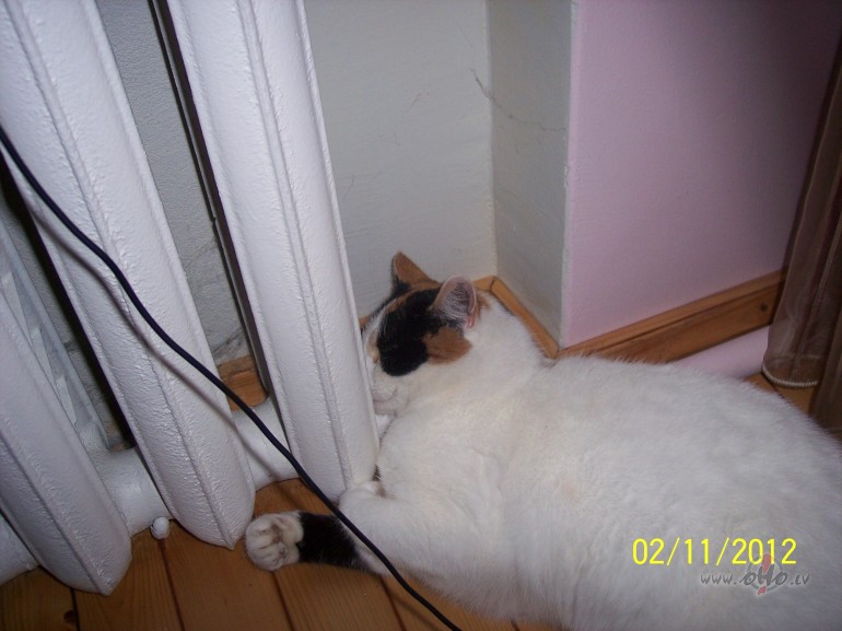 A kas �amam nekait:)))