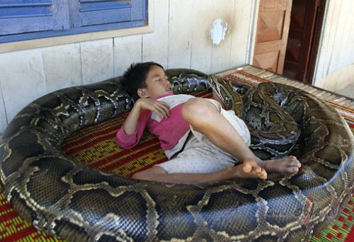 Mauglis un Kaa, jeb Miilestiiba tiiraa veidaa... :)