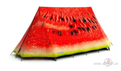 teltis... fantaazija... :)))