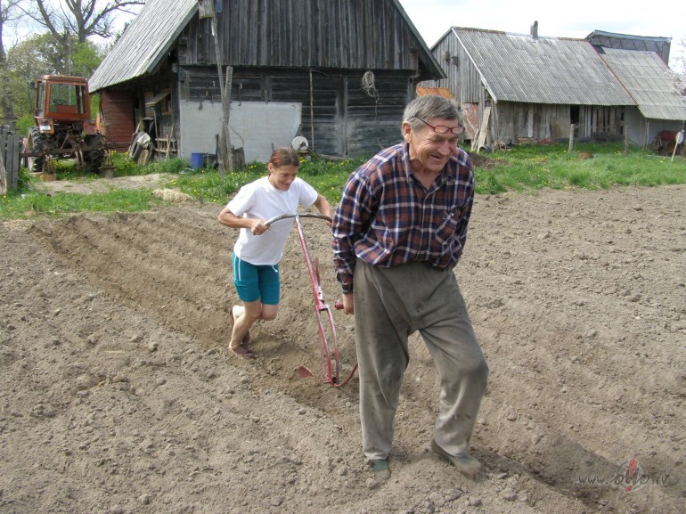 DZVE BEZ AIVARA