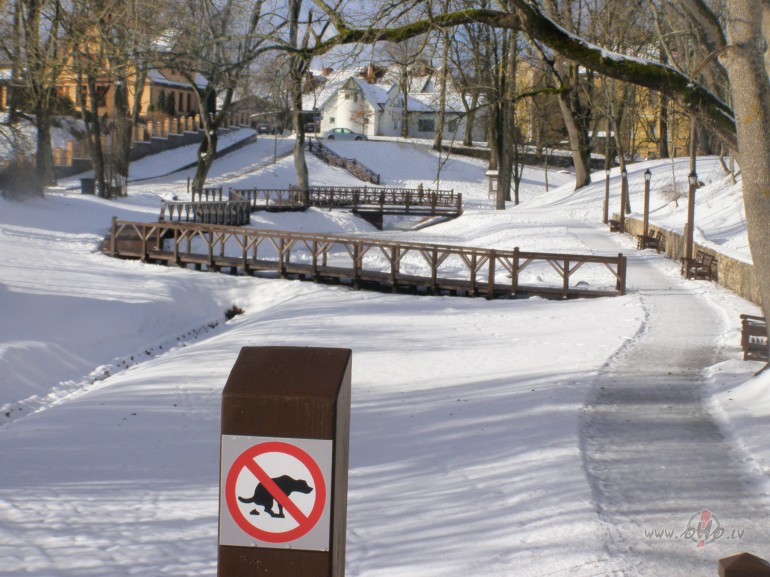 Pavasarg diena