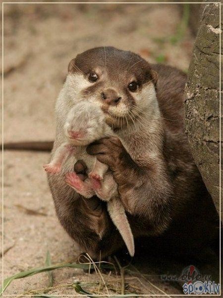 ..Ja t� padom�..:D..ar b�rna mutti..