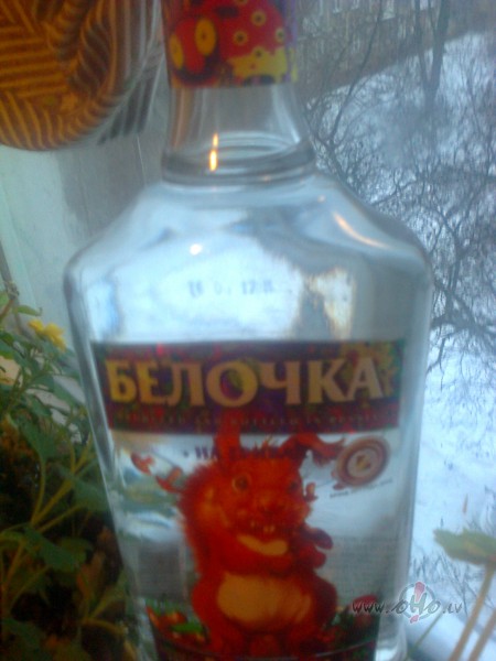 Nu ko, ja jau Ziemiishi... vodka Belochka na gribah ;)