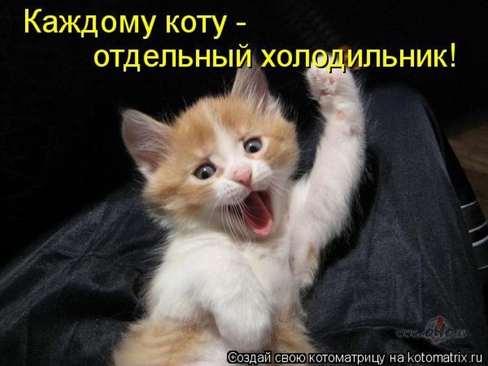 Выйду ночью...