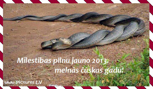 ......visiem visiem visiem!...;))).....nov�l�jums s�koties ��skas ...