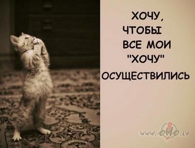 beidz kstt un sc dzvot! /c/