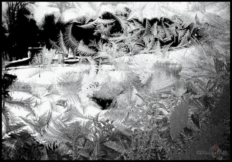 Es laikam tom�r nesp�ju