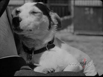Umberto D...