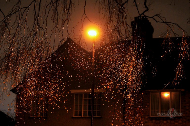 The Sun and the Rainfall