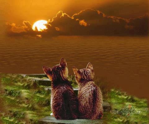 P�r��iru lapu dz�ves gr�mat� sav�, Lai pag�tne paliek tur, kur t� ir. ...