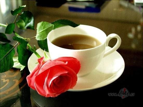 Daas atzias...:)
