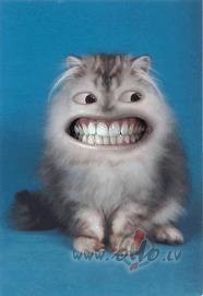 :)
