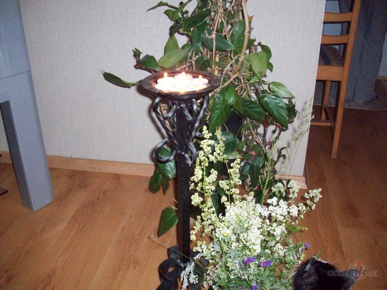 Nu jau kuro gadu iebrienu taj�s pa��s p�av�s p�c z��u ziedu kl�pja ...