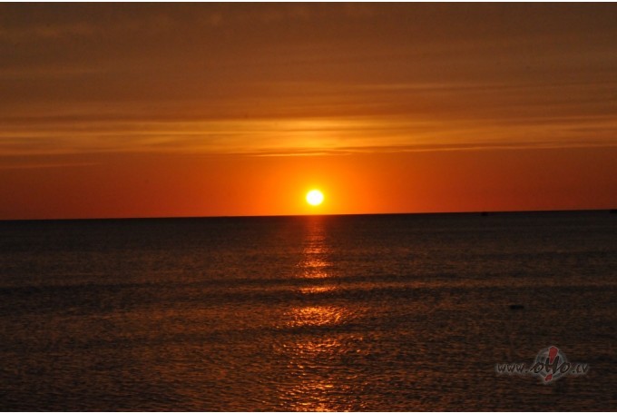 Parasti iedom�jas - saulrietu pie j�ras, izkais�tas ro�u ziedlapi�as, ...