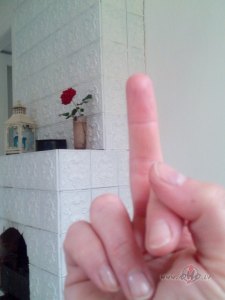 Fingertis!