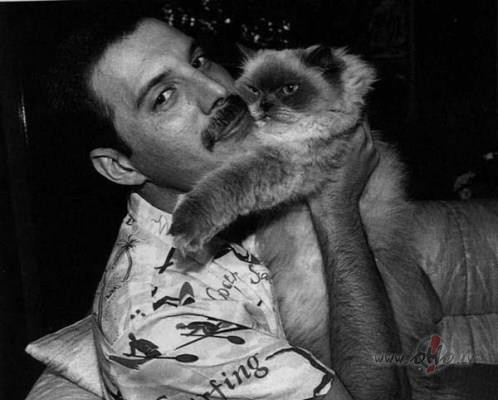 Tiho shiferom shursha...