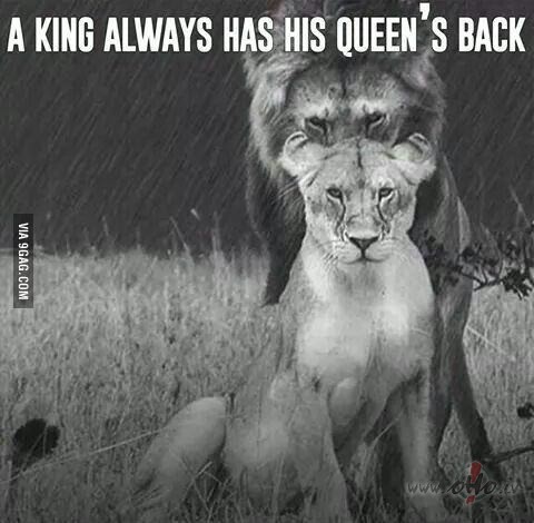 da�reiz ir br��i, kad ir nepiecie�ams t�.