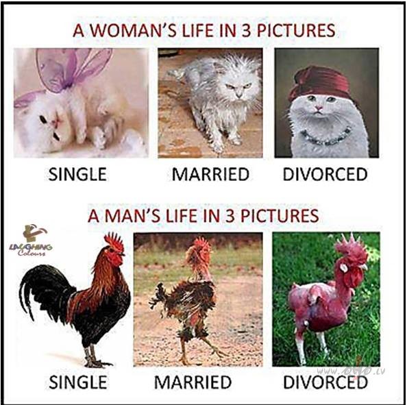 Katr� jok� ir da�a paties�bas.:)