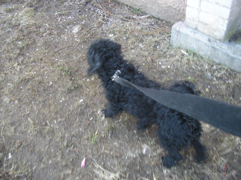 Staasts... kursh nav staasts