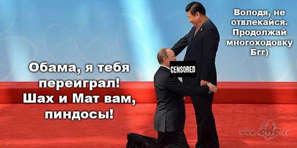 sibir nash