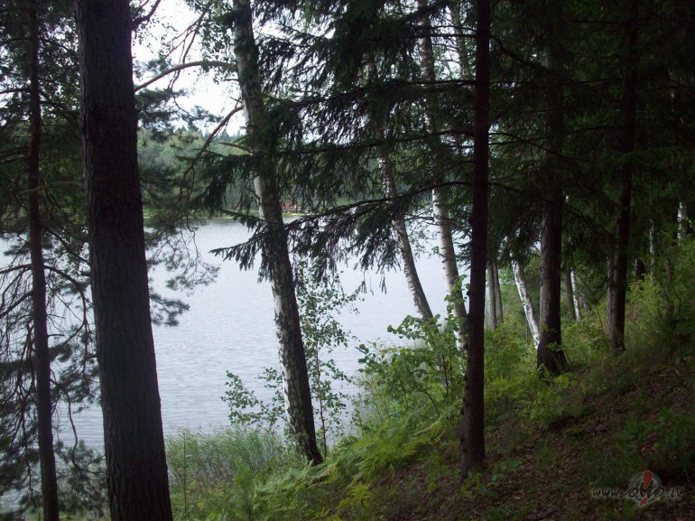 -Ko tu t�ds slapj�?-Raudu....-Par ko??-D��� iekritu....