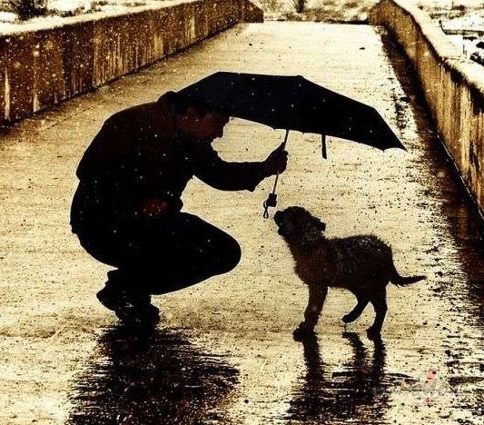 Pievilk�an�s likums.