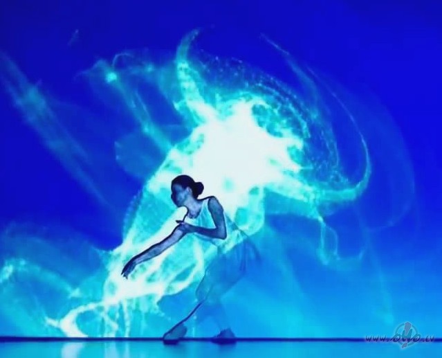 ☆ ☆ ☆ ☆ ☆ ☆