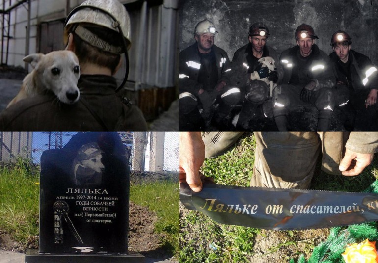 Staasts par uzticiibu...