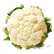 V�ru pl�mju zapti,�du pu�k�postus un klausos,k� pulkstenis katru ...