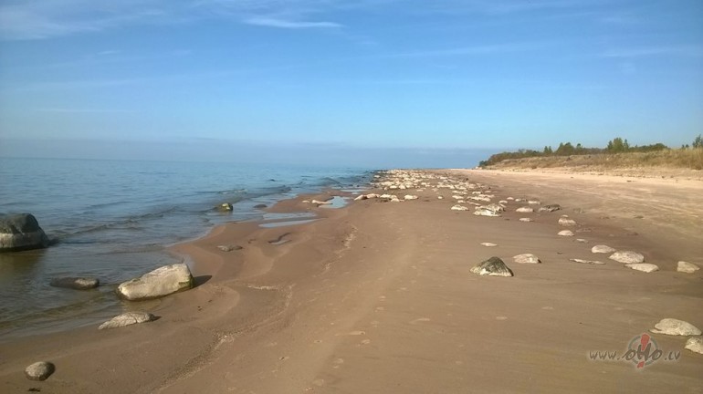 T�ds gai�ums tikai �oti retam rudenim.T�ds gai�ums v�l nav bijis man ...