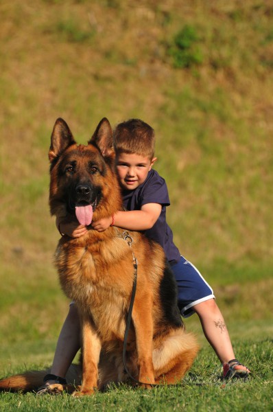 Beznosac�jumu misijas apzi�a