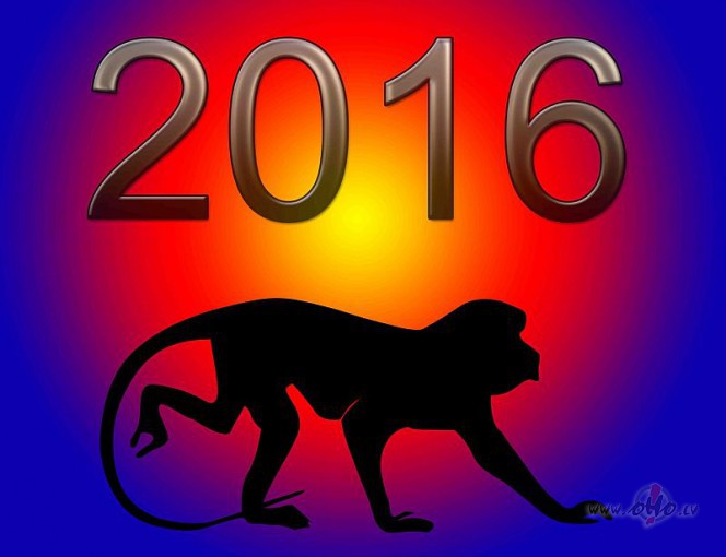 Laimgu Jauno 2016.gadu!