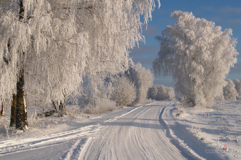 Mana kv�l�k� v�l��an�s.