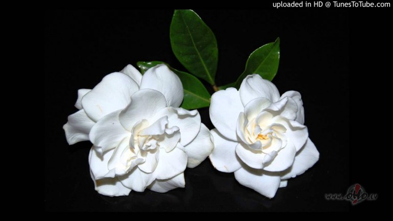 Un atkal zilaa vakaraa...