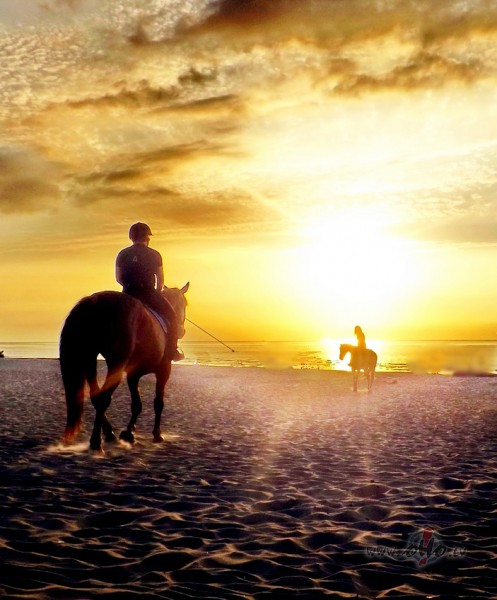 Kur j�ra, tur zirgi!