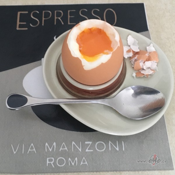 M�ksti v�r�ta ola brokast�s.