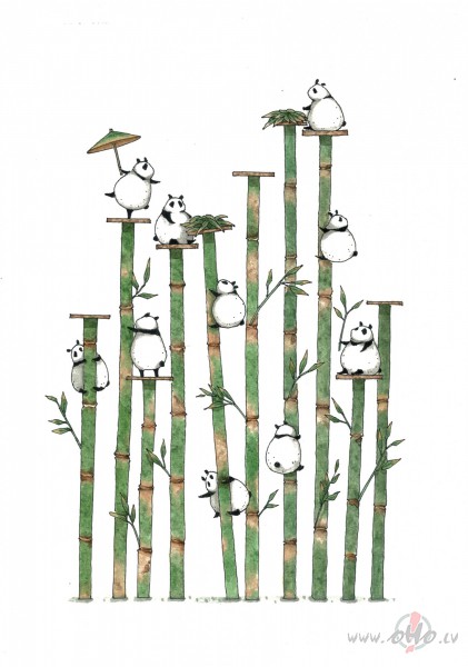 Ausu s�rs br�ni oran�s