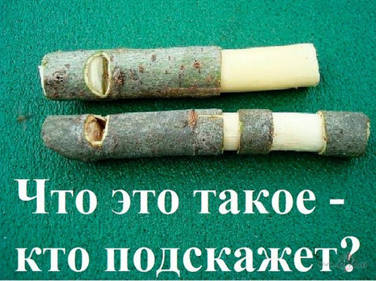 Mazliet par visu.