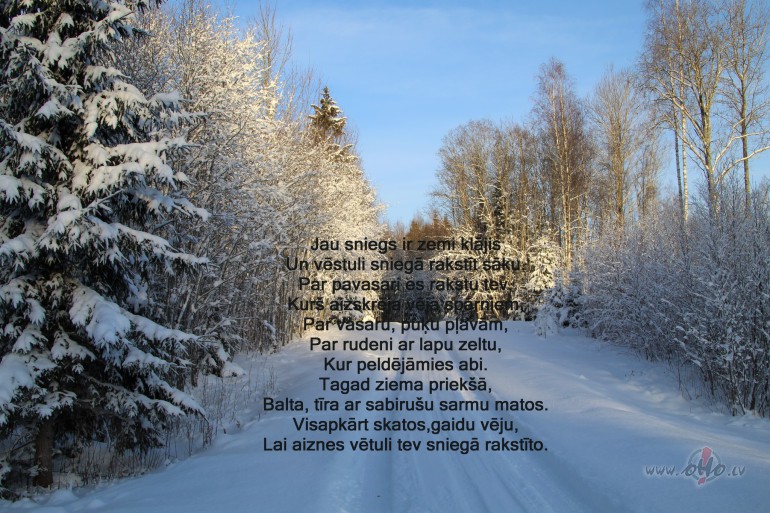 Vstule snieg.
