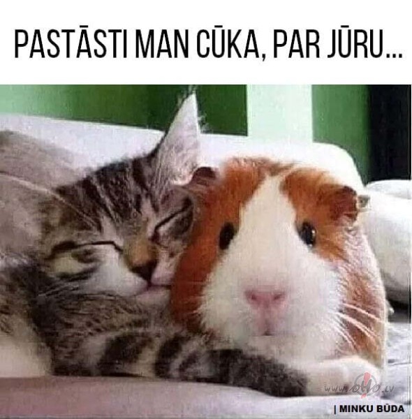 Dziesma par jru