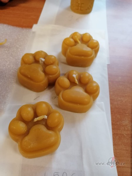 Ar gadiem tik pateicgka palieku