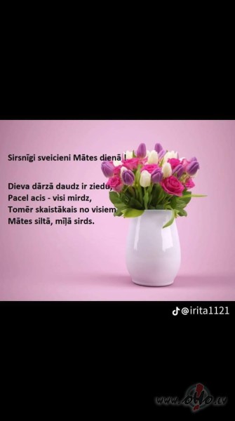 Mtes diena