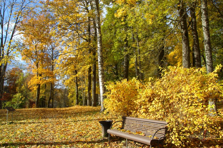 Rudens.