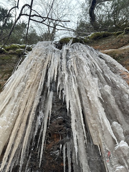 Ziem�g� sv�tdiena