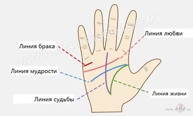 Neliels ieskats hiromantij�. ♐♐♐