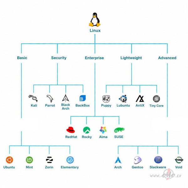 Linux distro iedal�jums...
