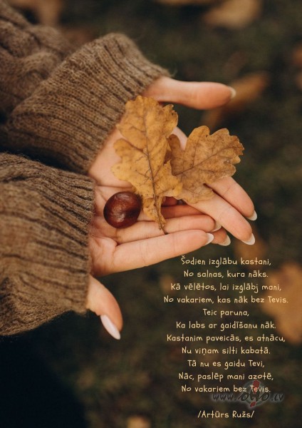 ...izgl�bu kastani
