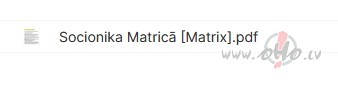 Socionika Matric�